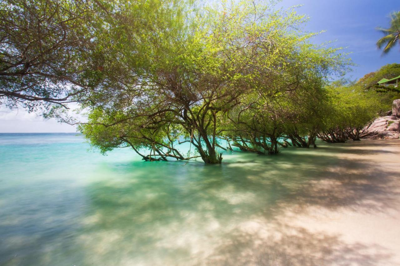 Koh Tao Relax Freedom Beach Resort Eksteriør billede
