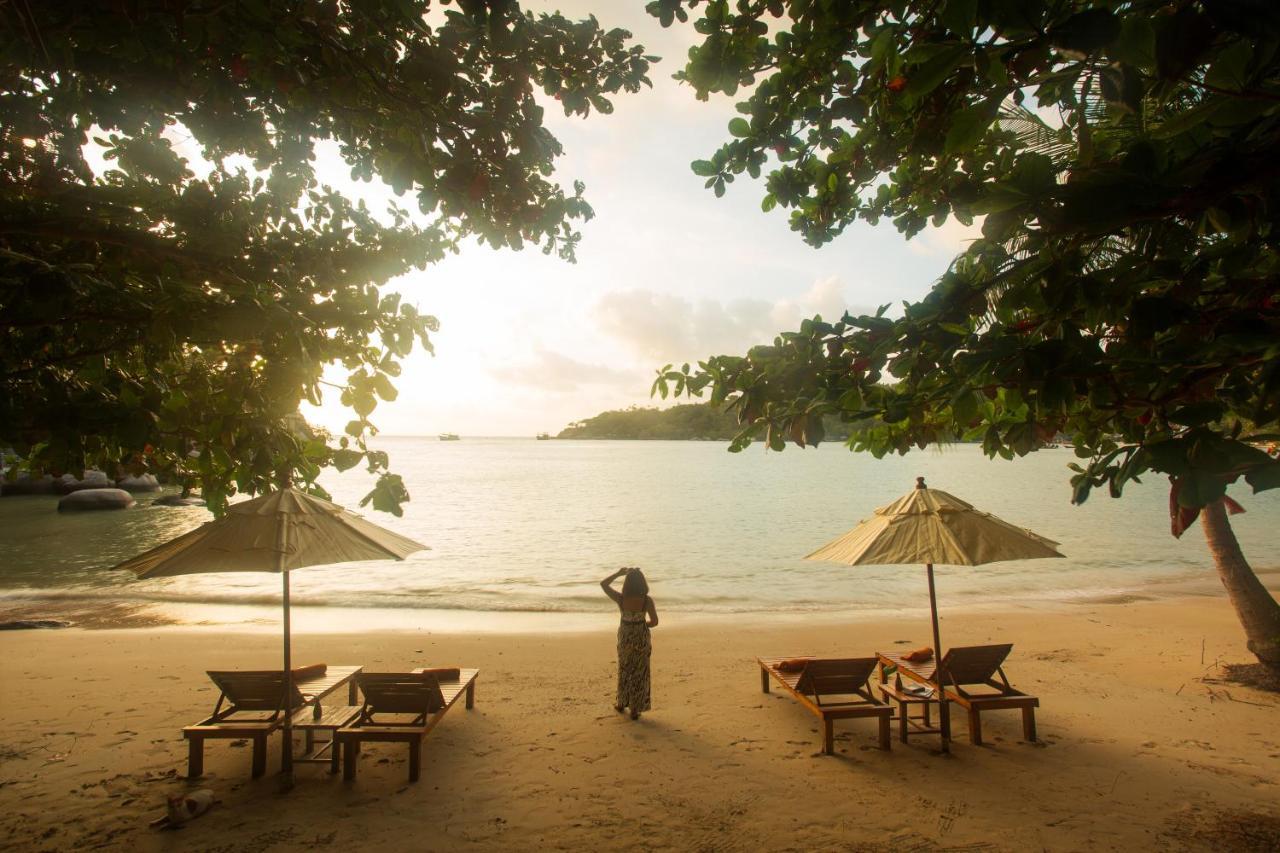 Koh Tao Relax Freedom Beach Resort Eksteriør billede